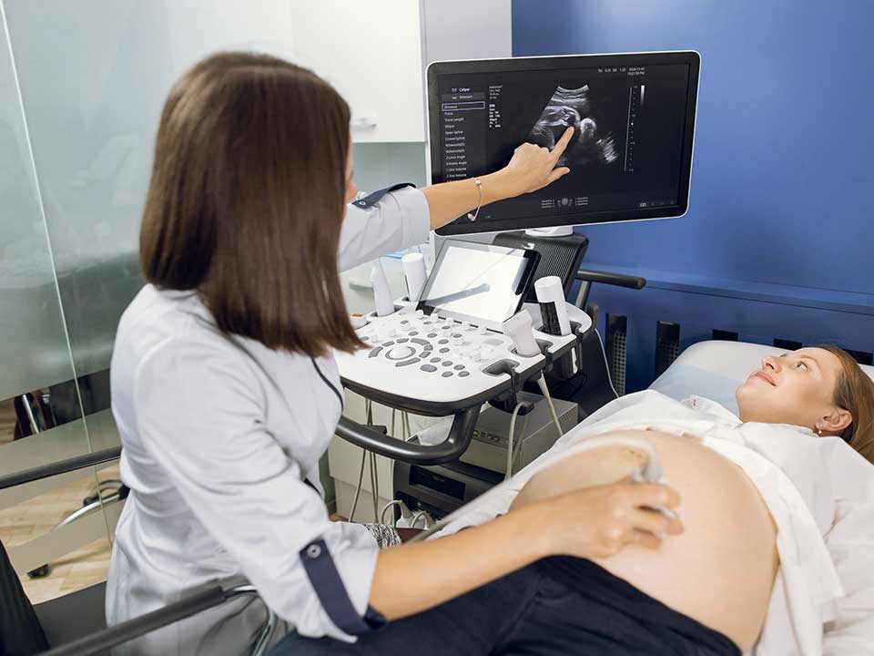 Business consulting meeting with a studio owner